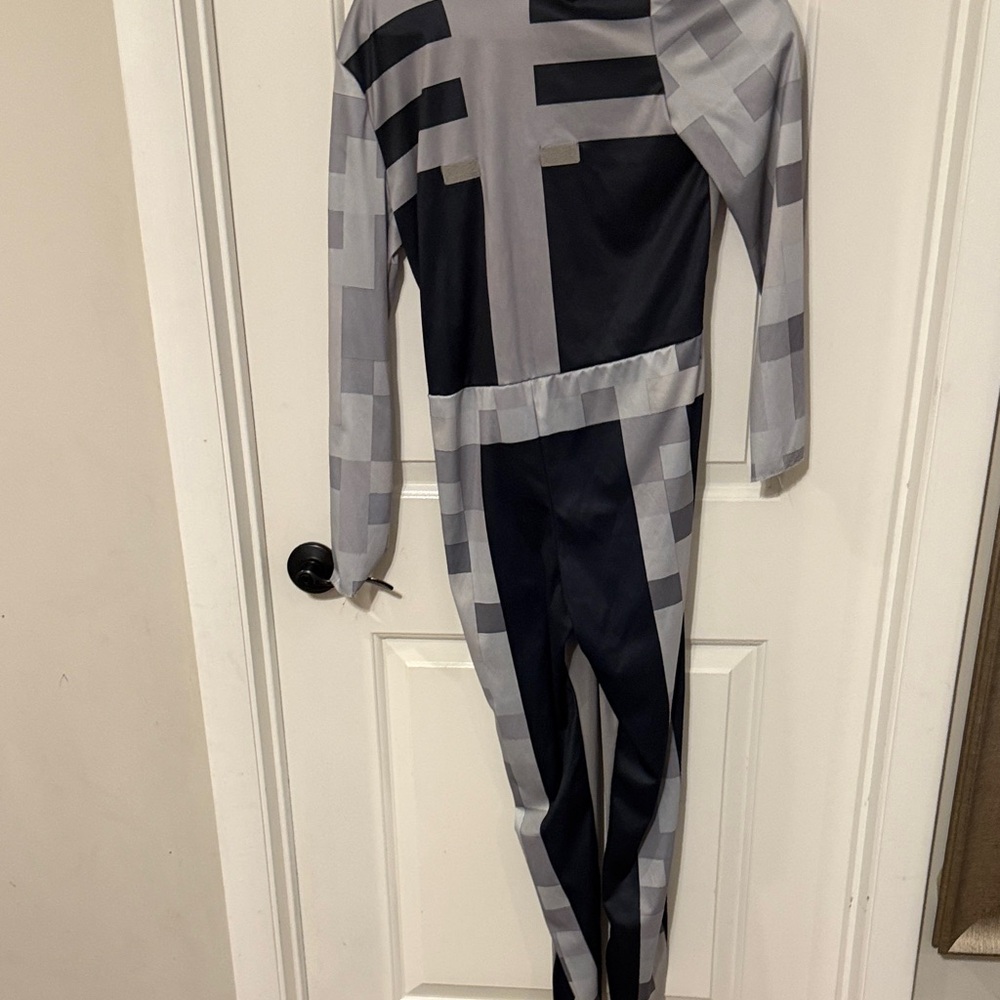 Minecraft Gray and Black costume